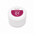 Flex Ombre #1