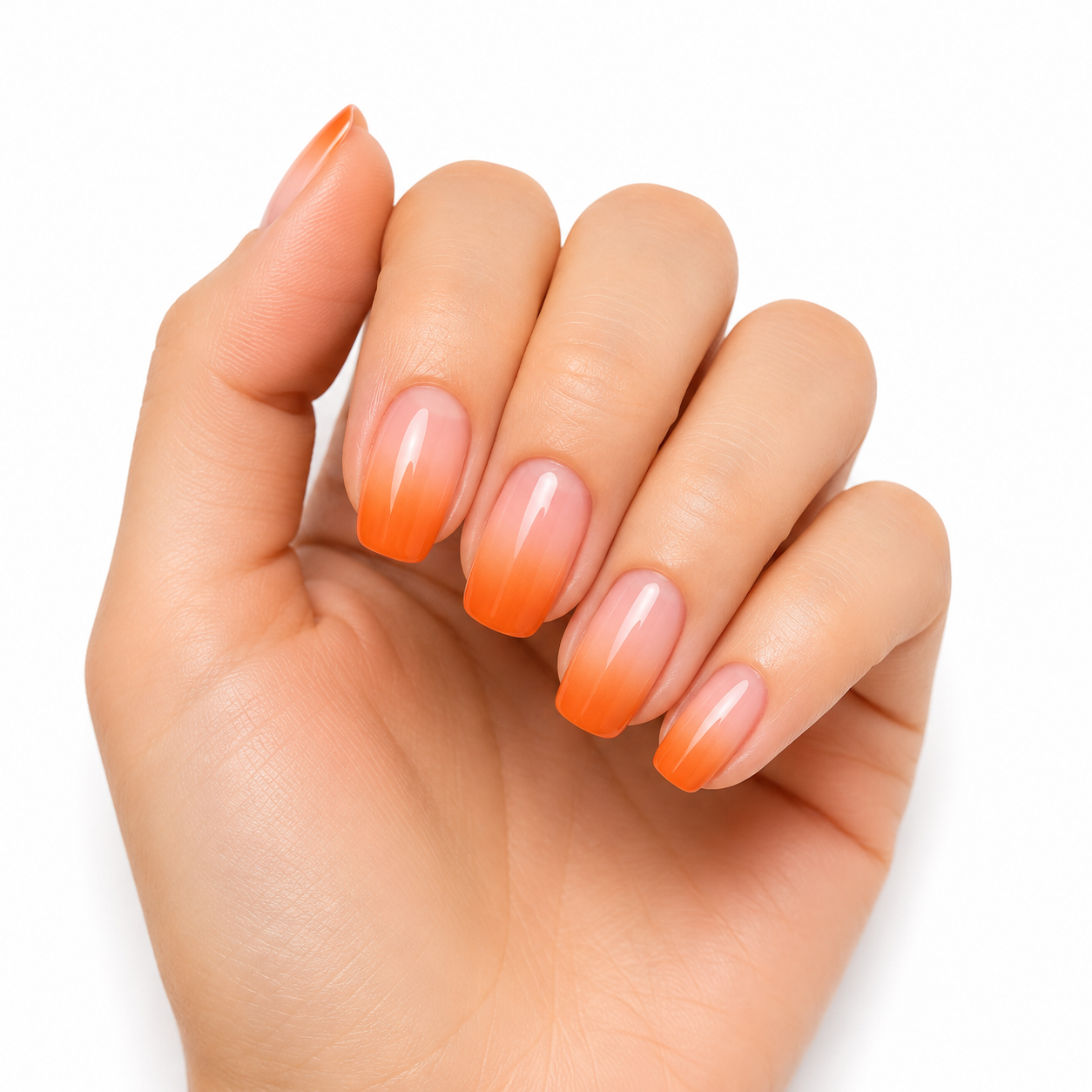 Flex Ombre #2