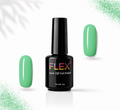 Flex Noir #3