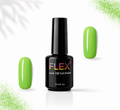 Flex Noir #9