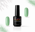 Flex Noir #172