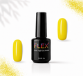 Flex Noir #20