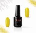 Flex Noir #21