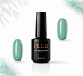 Flex Noir #66